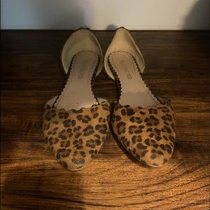 Cheetah flats